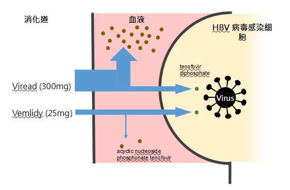 乙肝抗病毒药临床数据