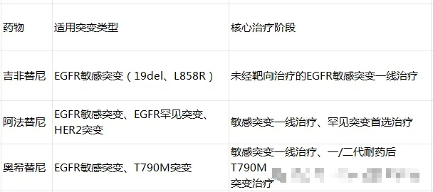 1763100248578752.png 6e722bedbb639a024a4f7727a800d7ca.png